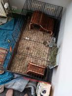 cavia kooi, Enlèvement, Comme neuf, Cage, Cobaye