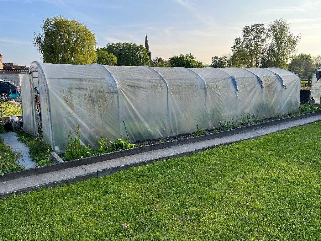 Serre de jardin, Jardin & Terrasse, Serres, Enlèvement, Utilisé, Acier, Serre