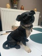 Prachtig stenen beeld te koop, Ophalen, Nieuw