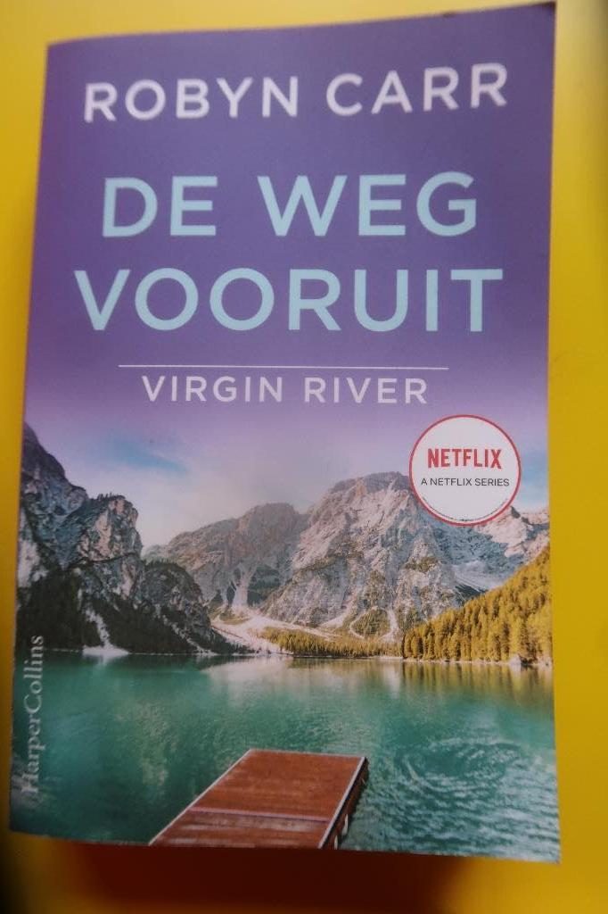 roman boek de weg vooruit, Livres, Romans, Enlèvement ou Envoi, Comme neuf