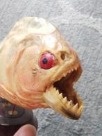 Piranha taxidermie cabinet de curiosité, Ophalen of Verzenden, Zo goed als nieuw