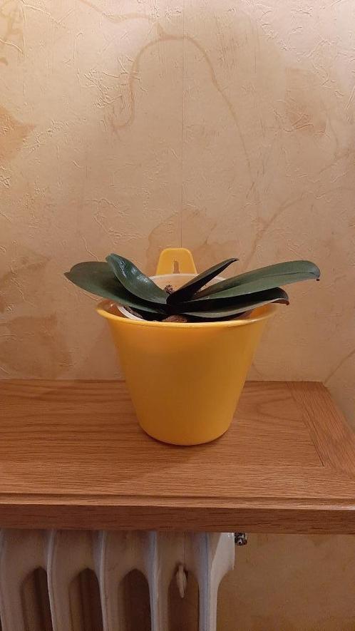 Vintage cache-pot in oranje plastiek, Tuin en Terras, Bloempotten, Zo goed als nieuw, Kunststof, Binnen, Balkon, Minder dan 40 cm