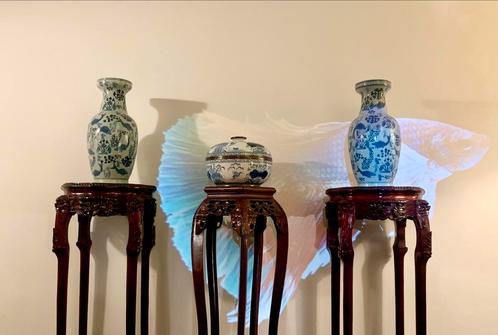 SUPER ANCIENT BLUE WHITE COLLECTION WITH MOTIFS OF KANGXI, Antiek en Kunst, Antiek | Porselein, Ophalen