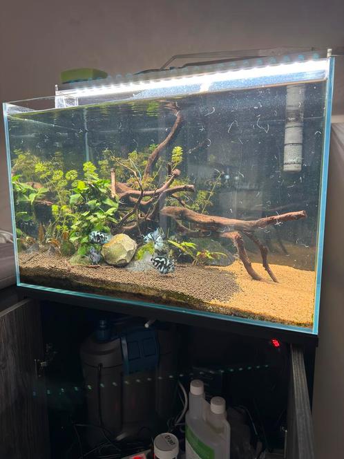 Scaper 90 COMPLEET, Dieren en Toebehoren, Vissen | Aquaria en Toebehoren, Zo goed als nieuw, Ophalen