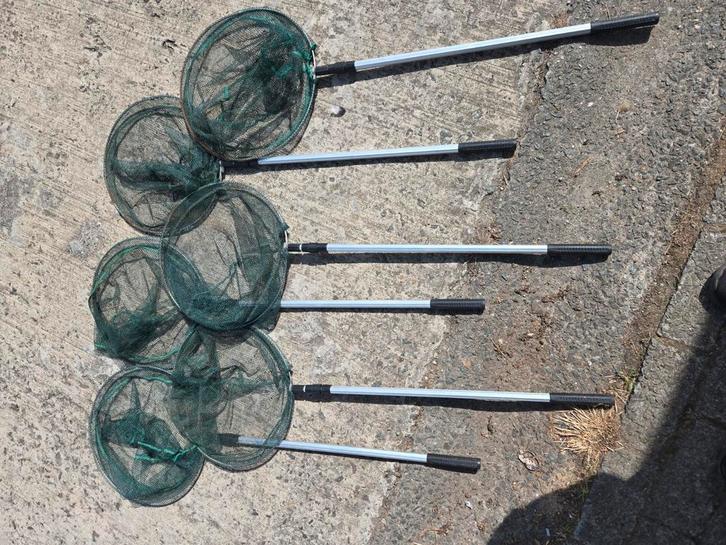 6 vijvernetjes, Dieren en Toebehoren, Vissen | Vijvervissen