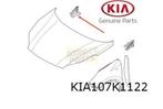 Kia Sportage Motorkapscharnier Rechts Origineel! 79120D9000, Auto-onderdelen, Carrosserie, Nieuw, Ophalen of Verzenden, Kia