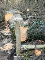 Gratis stookhout, Tuin en Terras, Brandhout, Ophalen