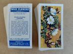 Wild Flowers series 2 complete set 50 chromos bloemen 1959, Ophalen of Verzenden, 1940 tot 1960, Natuur