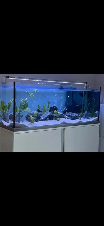 Aquarium eheim proxima 325 