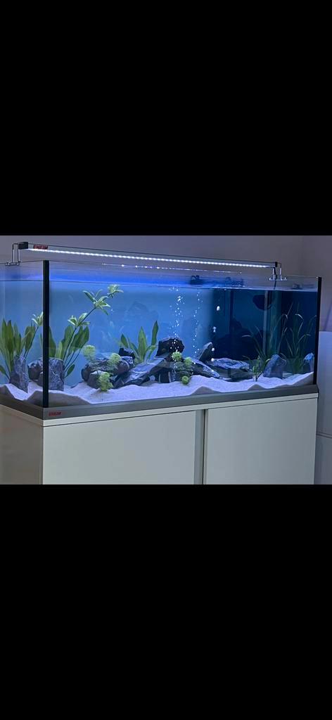 Aquarium eheim proxima 325, Animaux & Accessoires, Poissons | Aquariums & Accessoires