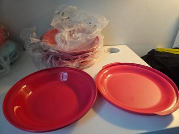 Tupperware aloha double plates (NIEUW), Enlèvement ou Envoi, Comme neuf