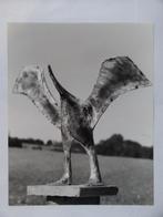 Reinhoud d'Haese, Vainglorious 1990, Verzenden