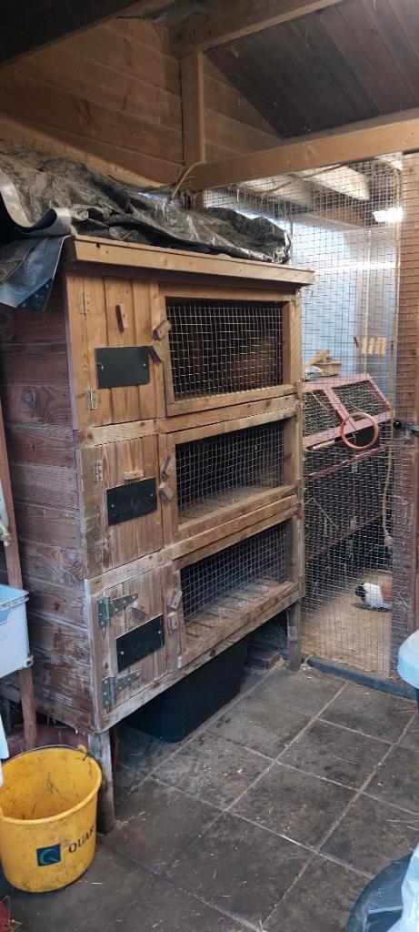 Konijn / cavia flat, Dieren en Toebehoren, Knaagdieren en Konijnen | Hokken en Kooien, Gebruikt, Hok, Cavia, Konijn, Ophalen