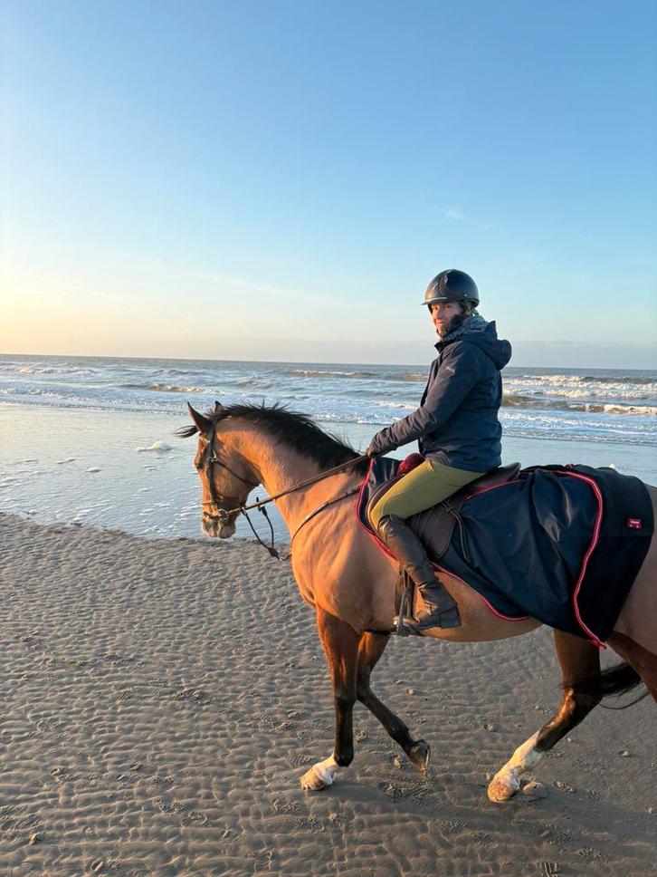 Zeer toffe 4-jarige ruin, Tickets en Kaartjes, Recreatie | Dierentuinen