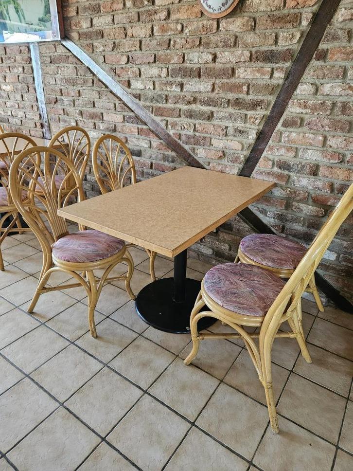 HORECA stoelen en tafel rotan + stoffen, Zakelijke goederen, Horeca | Meubilair en Inrichting, Meubilair, Ophalen