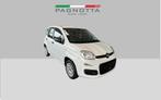 Fiat Panda 1.2 Benzine, Voorwielaandrijving, Euro 6, Panda, Wit