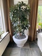 Kunstplant groot., Ophalen, Overige soorten, In pot, 200 cm of meer