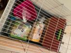 Cage pour lapin + nombreux accessoires (presque gratuits), Animaux & Accessoires, Rongeurs & Lapins | Cages & Clapiers, Furet