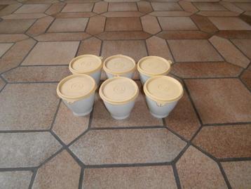 6 pots en Tupperware