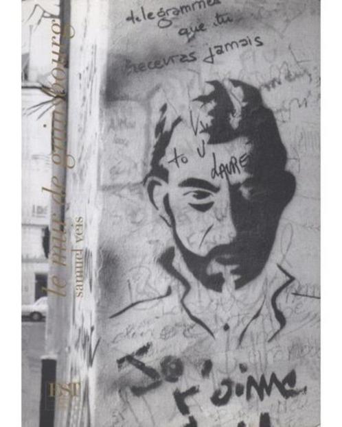 De muur van Gainsbourg - Samuel Veis, Boeken, Kunst en Cultuur | Fotografie en Design, Nieuw, Fotografen, Ophalen of Verzenden