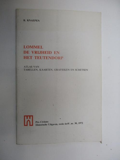 Lommel, de vrijheid en het teutendorp, Livres, Histoire & Politique, Comme neuf, Enlèvement ou Envoi