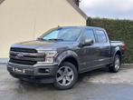 Ford F 150 Lariat 5.0 V8 Opendak 360 Camera Adaptive, Auto's, Ford, 4 deurs, 5030 cc, Leder, Bedrijf