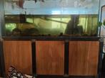 Grote aquarium 500l, Ophalen, Zo goed als nieuw