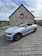 BMW série 2 cabriolet, Auto's, 100 kW, Achterwielaandrijving, Leder, Handgeschakeld