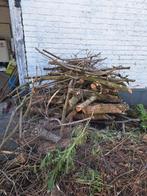 Gratis brandhout, Tuin en Terras, Brandhout, Ophalen