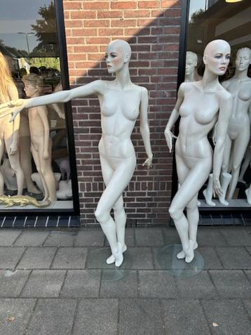 Hindsgaul "ANGIE "etalagepoppen mannequins paspoppen  beschikbaar voor biedingen