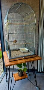 Vogelkooi, Ophalen, Zo goed als nieuw, Vogelkooi