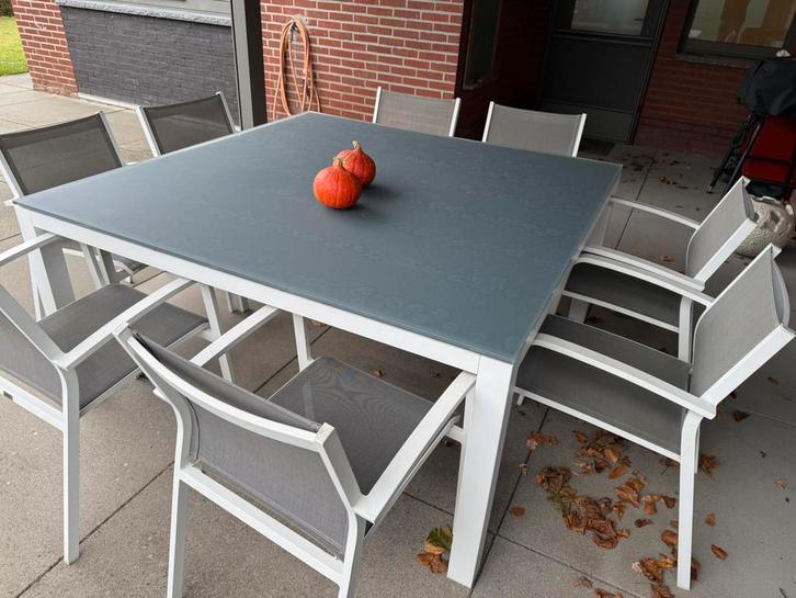 Tuinset bristol, Jardin & Terrasse, Ensembles de jardin, Utilisé, Salons de jardin, Aluminium, 8 places, Table à dinner, Chaise