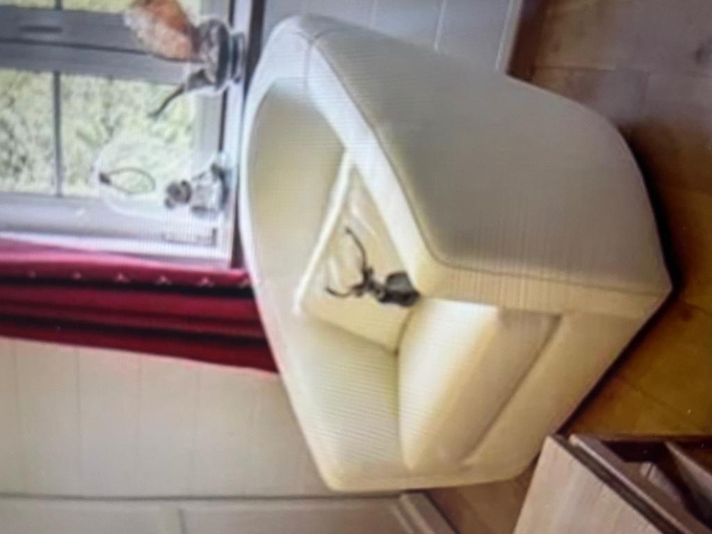 Fauteuil, 75 à 100 cm, Comme neuf, Enlèvement, Cuir