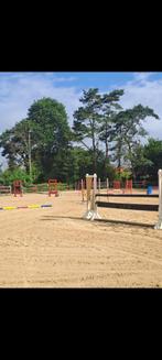 Stalling te Turnhout !, Dieren en Toebehoren, Stalling en Weidegang, Stalling