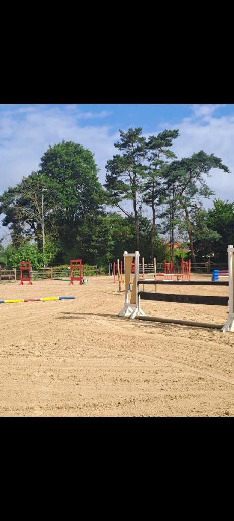 Stalling te Turnhout !, Dieren en Toebehoren, Stalling en Weidegang, Stalling