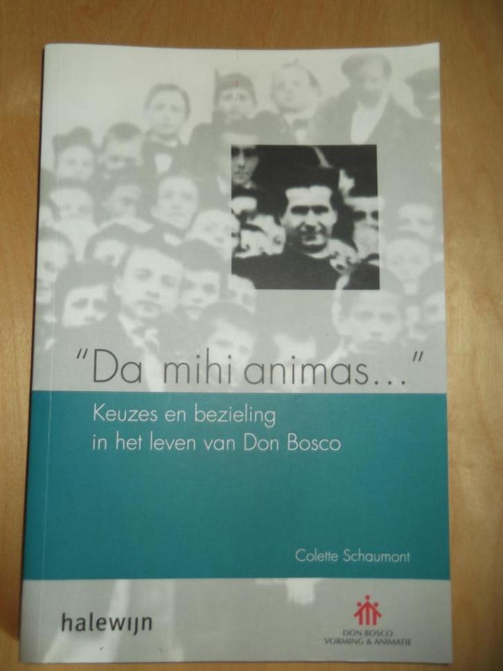 Het leven van Don Bosco, Boeken, Godsdienst en Theologie, Nieuw, Christendom | Katholiek, Ophalen of Verzenden