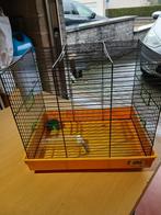 Hamsterkooi, Zo goed als nieuw, Kooi, Hamster