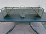 vangkooi voor marters, ratten, katten, Ophalen, Zo goed als nieuw, Kooi
