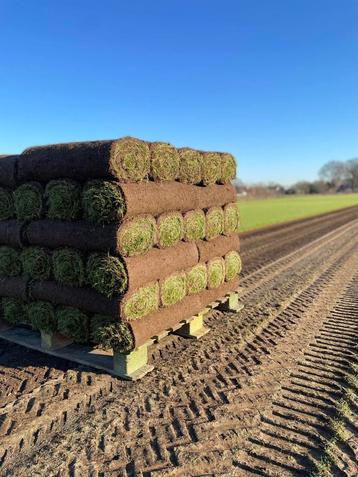 graszoden  beschikbaar voor biedingen