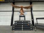 EXCLUSIEVE  TEAK AREND!, Ophalen of Verzenden