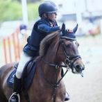 Allrounder C-pony - merrie - 12 jaar, Dieren en Toebehoren, Merrie, C pony (1.27m tot 1.37m), Recreatiepony, 11 jaar of ouder