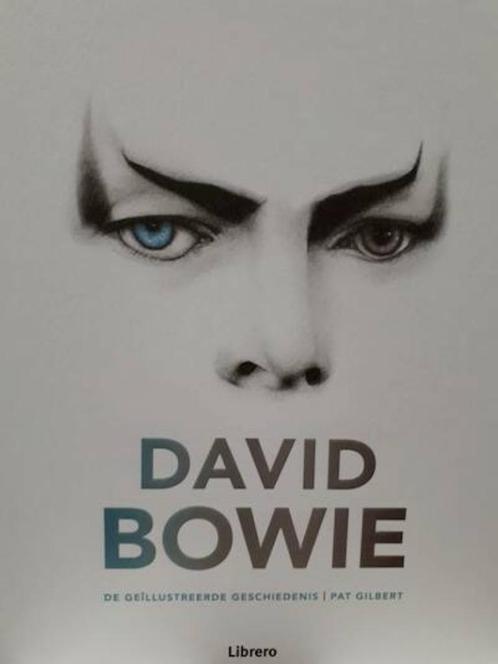 David Bowie -de geïllustreerde geschiedenis , CD & DVD, Vinyles | Pop, Enlèvement