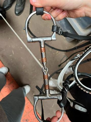Bit te koop, Enlèvement ou Envoi, Comme neuf