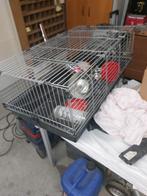 Kooi konijnen cavia kuikens met warmtelamp, Dieren en Toebehoren, Ophalen, Kooi, Cavia