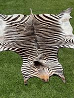 Zebra vel huid tapijt ( lengte 3 m ???? ), Ophalen of Verzenden