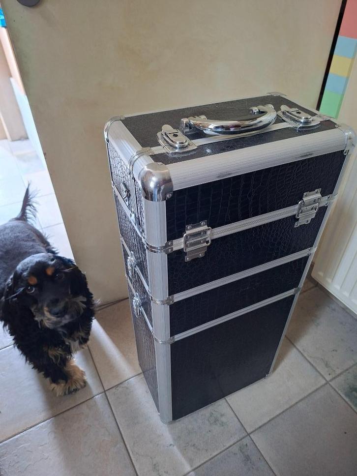 materiaalkoffer voor hondentrimmers, Dieren en Toebehoren, Overige Dieren-accessoires, Gebruikt, Ophalen