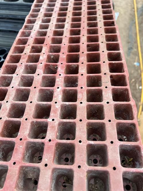 Stekplaat zaaiplaat plantplaat 102 gaten, Tuin en Terras, Bloembakken en Plantenbakken, Gebruikt, Kunststof, Binnen, Balkon, Tuin