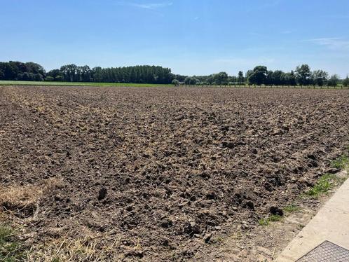 Boerderij te koop in Petegem-Aan-De-Schelde, Immo, Huizen en Appartementen te koop, Overige soorten