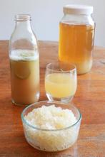 Waterkefir, Diversen, Levensmiddelen, Ophalen of Verzenden