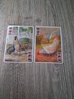 setje 3D jokers dieren, Verzamelen, Ophalen of Verzenden, Joker(s)